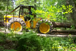 Skidder crossing skidder bridge