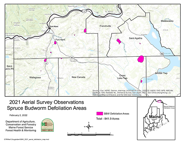 2021 Aerial Survey Observations Spruce Budworm Defoliation Areas
