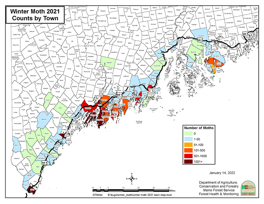 Winter Moth Trap Catch Map