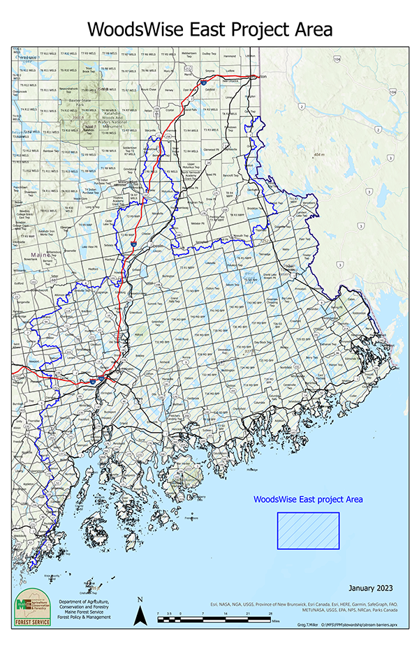 Map of eastern Maine with majority of towns with hash marks indicating their inclusion in the Woods Wise East Porject area.