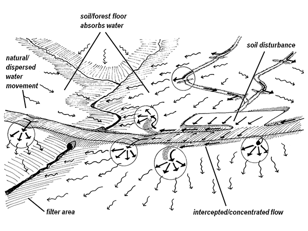 Image show how water flow is controlled through the use of various best management practices (BMPS), including water bars, filter strips, and proper culvert installation.