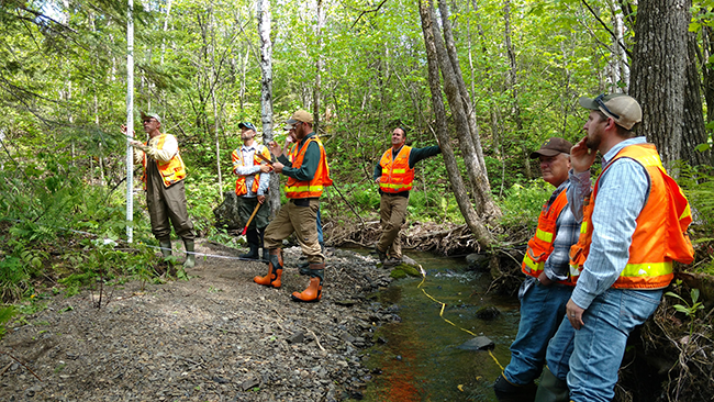 People surveying a stream.