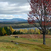 View of Maine Foliage - Photo Courtesy of Maine Office of Tourism