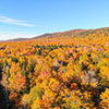 Photo Courtesy of Keith Draper, Maine Forest Service. Township 11 Range 4 WELS on Bureau of Parks and Lands ground. South peak of Scopan Mountain in the background.