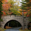 Acadia National Park - Photo courtesy of Janie Dennard