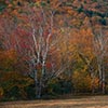 Grafton Notch State Park, ME - Photo courtesy of Chandra Mouli