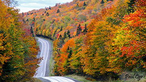 Aroostook County Foliage Scenic Drive