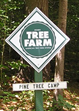 Maine Tree Farm sign