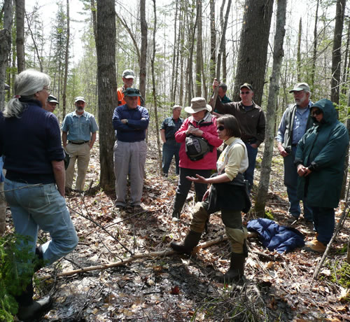 Dr. Aram Calhoun teaches the importance of thoughtful forest management practices around amphibian habitat, Augusta.  Photo credit Amanda Mahaffey