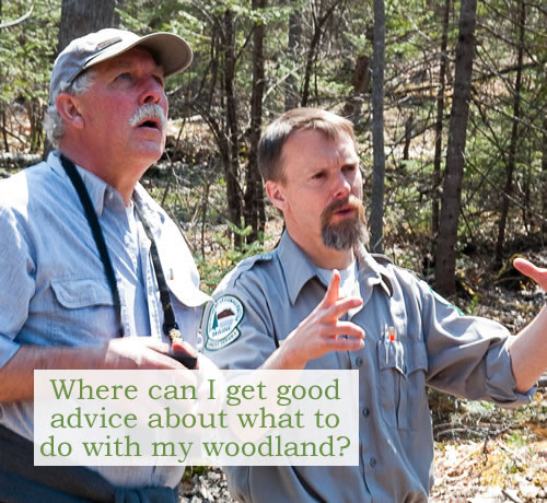 Maine Forest Service District Forester, Morten Moesswilde (right) giving advice to a landowner.  Photo credit: Marc Loiselle