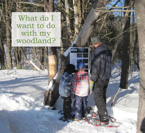 The Bell family enjoys winter fun at Curtis Homestead, where Nat Bell and his father Bruce lead sustainable forest management school programs with the Kennebec Land Trust. Photo credit: Pam Bell