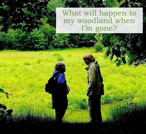 Two people standing on the edge of a forest that opens into a field. Photo credit: Joe Phelan, Kennebec Journal