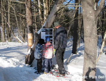 The Bell family enjoys winter fun at Curtis Homestead, where Nat Bell and his father Bruce lead sustainable forest management school programs with the Kennebec Land Trust.