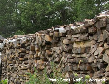 Stack of firewood.