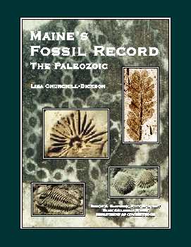 cover of Fossil Record book