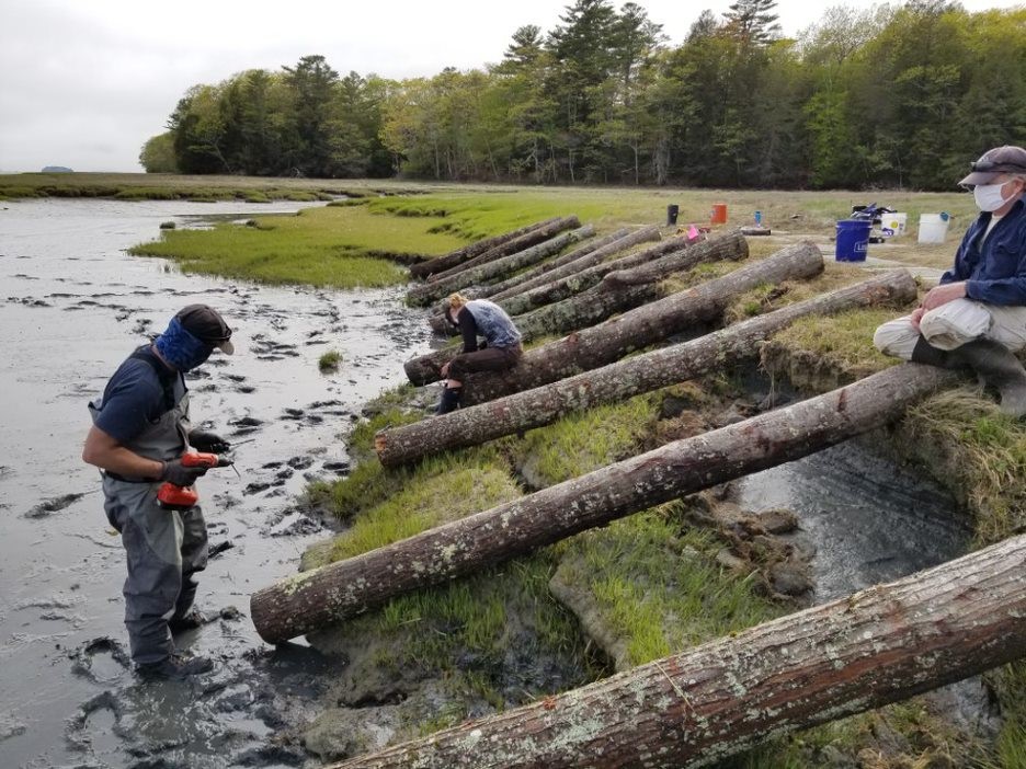 Securing logs at high tide