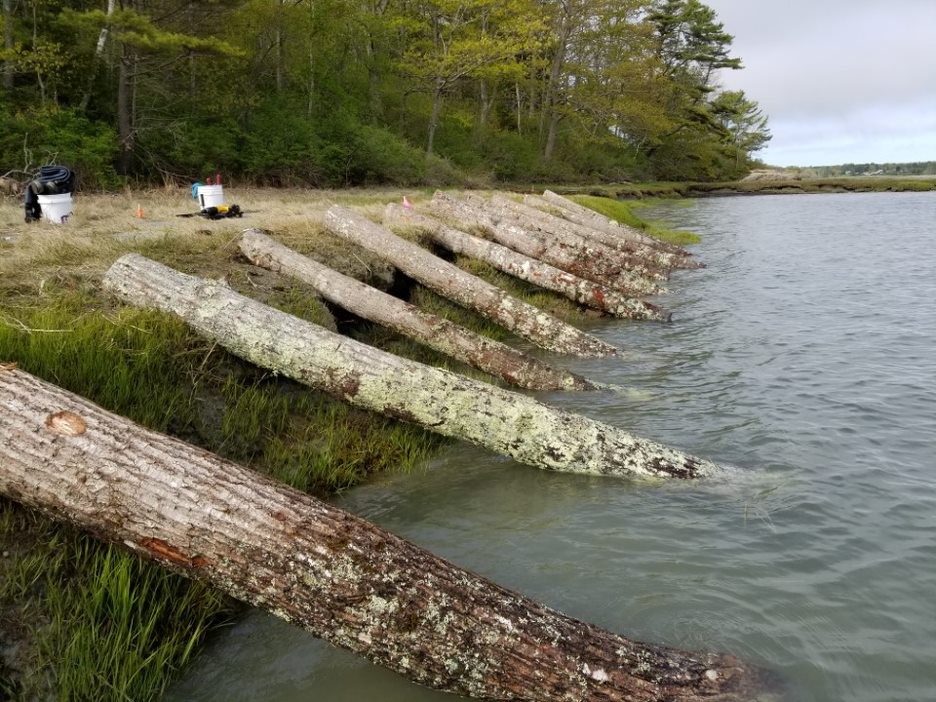 Securing logs at low tide
