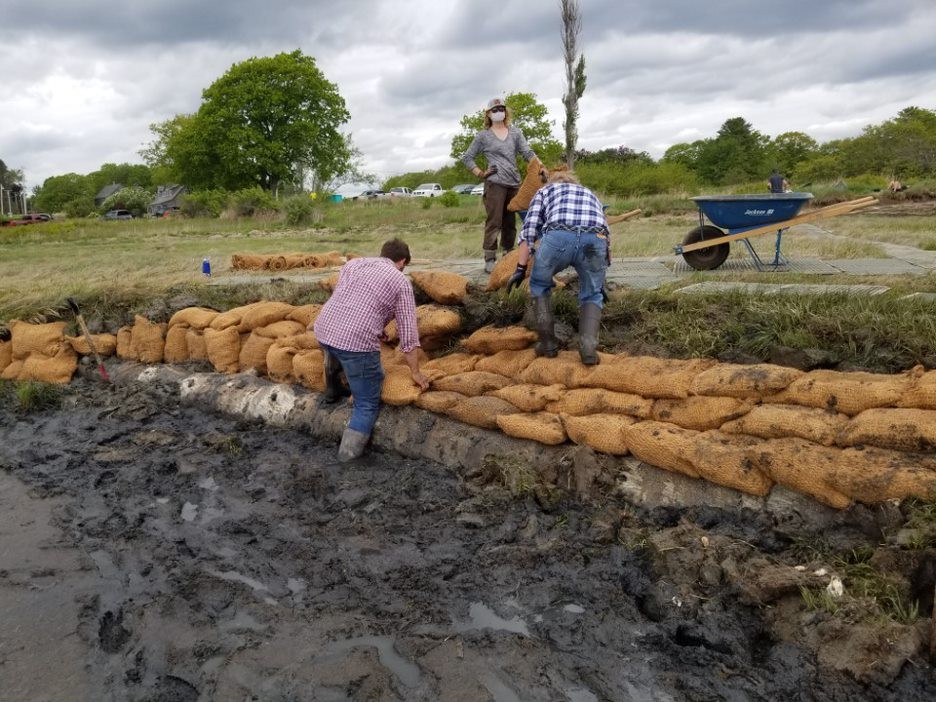 coir bags placed