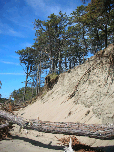 bluff erosion