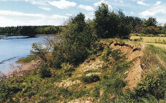 hummocky land surface on bluff