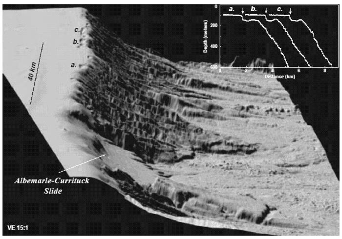 3-dimensional image of slide