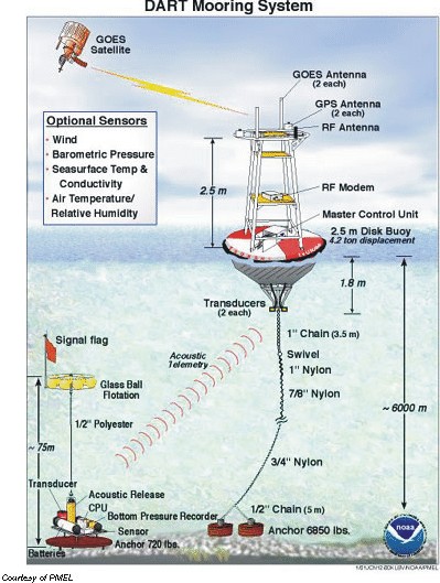 DART mooring system