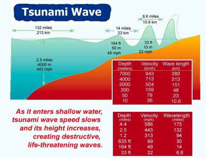 fast-tsunami : Activity •