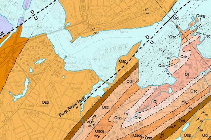 section of a detailed bedrock map showing contacts between rock units and structural information