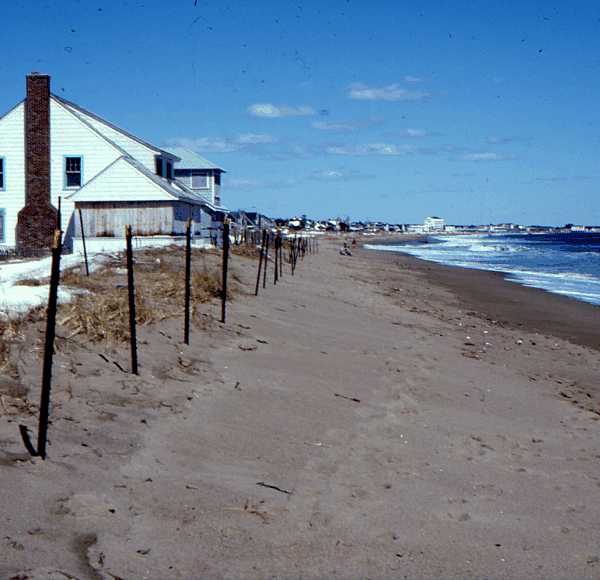 block diagram of coastal sand dunes