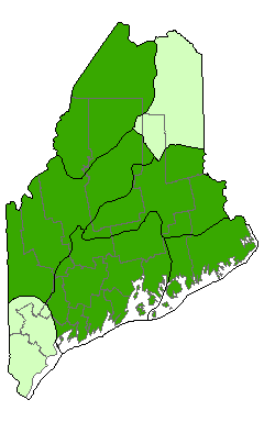 Map showing distribution of Red and White Pine Forest communities in Maine