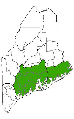 Map showing distribution of Maritime Spruce - Fir Forest communities in Maine