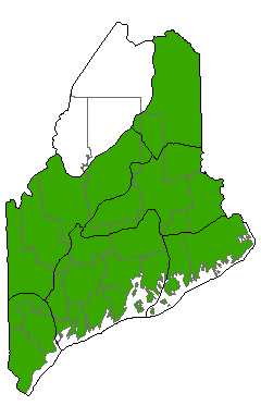 Map showing distribution of Oak - Northern Hardwoods Forest in Maine