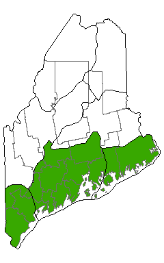 Map showing distribution of Brackish Tidal Marsh in Maine