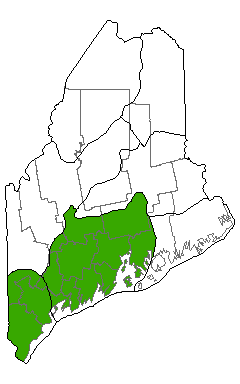 map showing distribution of atlantic white cedar bog in Maine