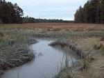 Image of Carrying Place Cove