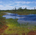 Image of peatland pond