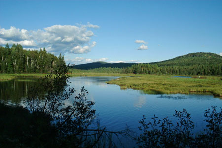 Photo: View of Stratton Brook Pond, Bigelow Preserve