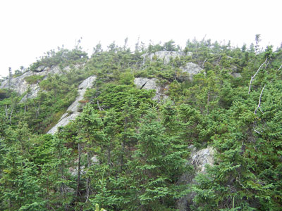 Photo: View of the top of Big Spencer Mountain