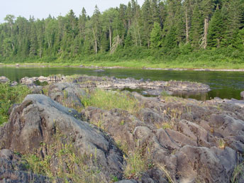 Rivershore outcrop