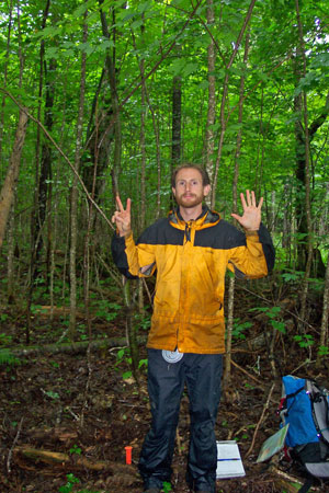 Photo: Image of an ecologist working a transect at Chamberlain Lake Ecoreserve