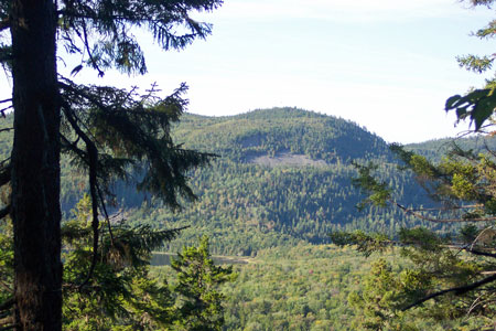 Photo: Open talus slope on Deboullie Mountain