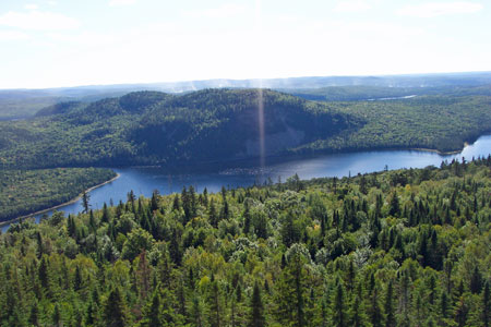 Photo: Aerial view of Deboullie Preserve