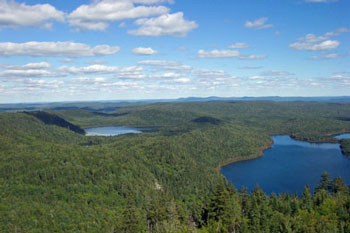 Photo: Aerial View of Deboullie Lakes region