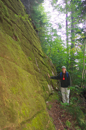 Photo: Image of an ecologist working a survey transect at along a glacial erratic at Deboullie Preserve
