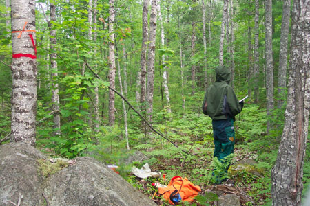 Photo: Ecologist working on a transect at Duck Lake Ecoreserve