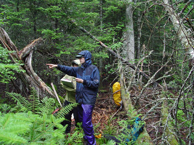 Photo: Ecologists determining location of ecoreserve vegetation survey transect line at Great Heath