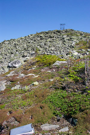 Photo: Looking toward the summit of Mt. Abraham