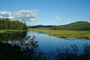 Stratton Brook Pond, Bigelow Range