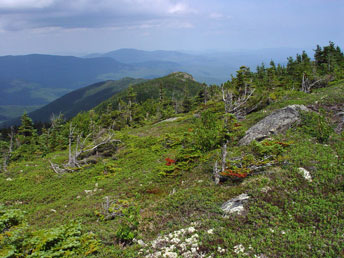 Goose Eye looking east