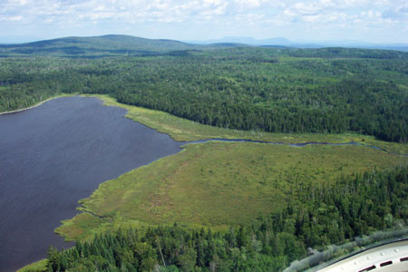 Photo: Aerial view of St. John Ponds